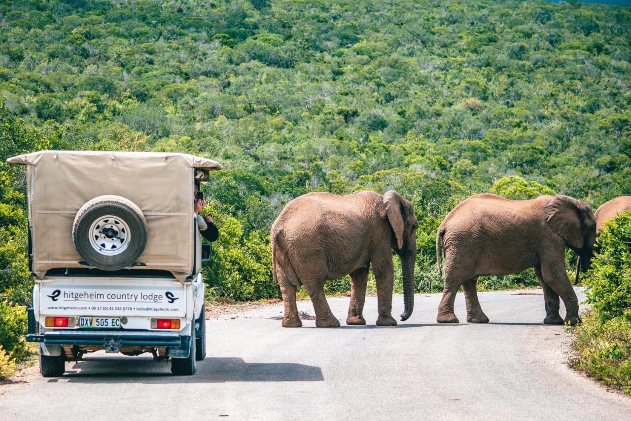 Lodge Hitgeheim Country Addo
