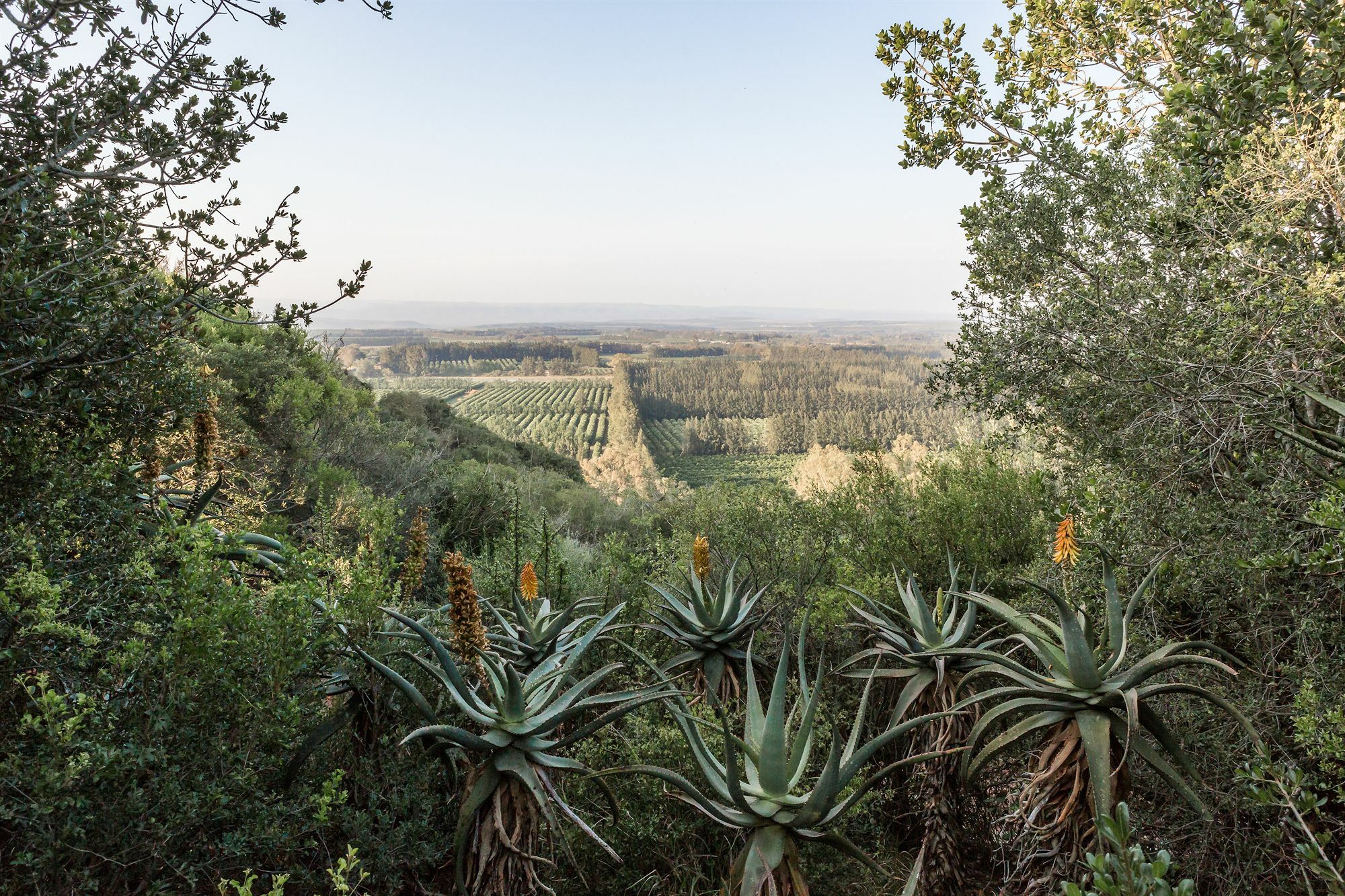 Hitgeheim Country Lodge Addo